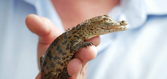 Zoo Hoyerswerda