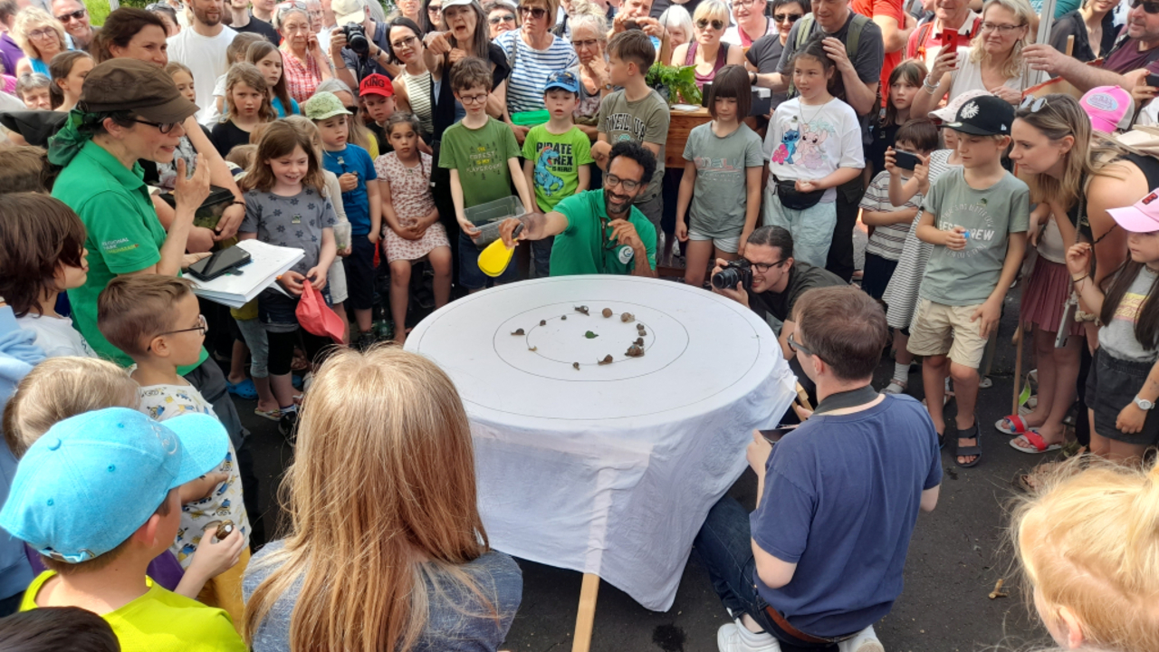 Foto: Große wie kleine Teilnehmer bei der Schnecken-WM © red
