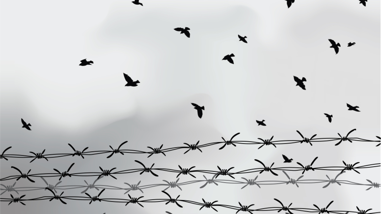 Foto: Symbolbild © Adobestock/ Igor