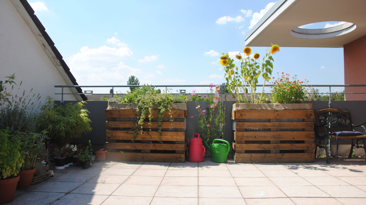 Foto: Die gemeinschaftliche Dachterrasse von „anders leben – anders wohnen“ © Netzwerk Frankfurt für gemeinschaftliches Wohnen e.V.