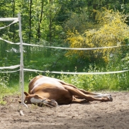 Bebauung der Galopprennbahn