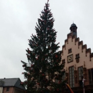 Weihnachtsmarkt 2015