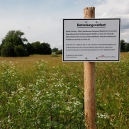 „Renaturierung Alter Flugplatz“ wieder aktiv