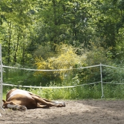 Klage erfolgreich, Untreueverfahren eingestellt