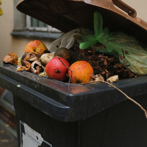 Städte gegen Food Waste