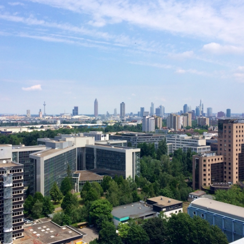 Zwangsräumung in der Jungenheimer Straße