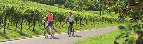 Fahrrad-Stadtführung 