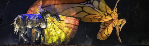 2 Tickets für die Premiere von Cirque du Soleil „LUZIA – Eine Reise<br />zwischen Traum & Wirklichkeit“ am 13.6.2023, 19:30 Uhr, Festplatz<br />Frankfurt