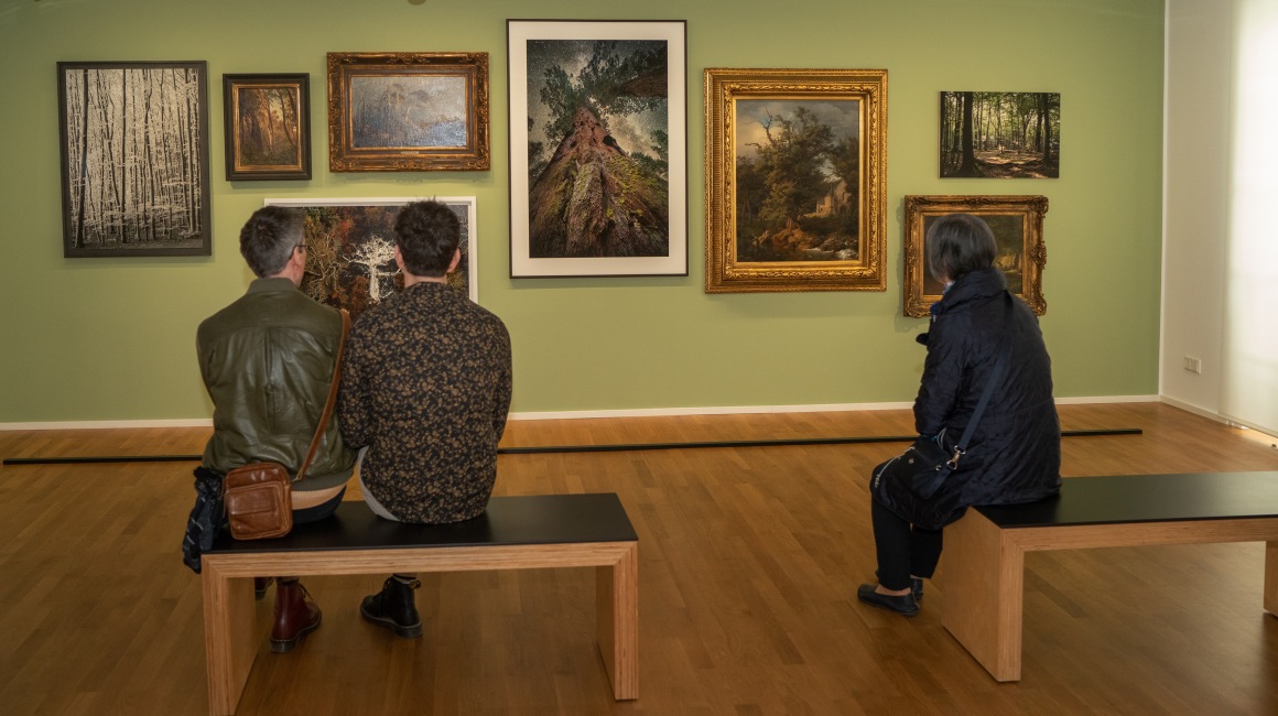 Bis 11. August widmet sich das Museum dem Thema „Wälder. Von der Romantik in die Zukunft“.; Foto: Museum Sinclair-Haus/Anja Jahn