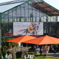 Sunflower Gartencenter (FOTO Silvana Enz)