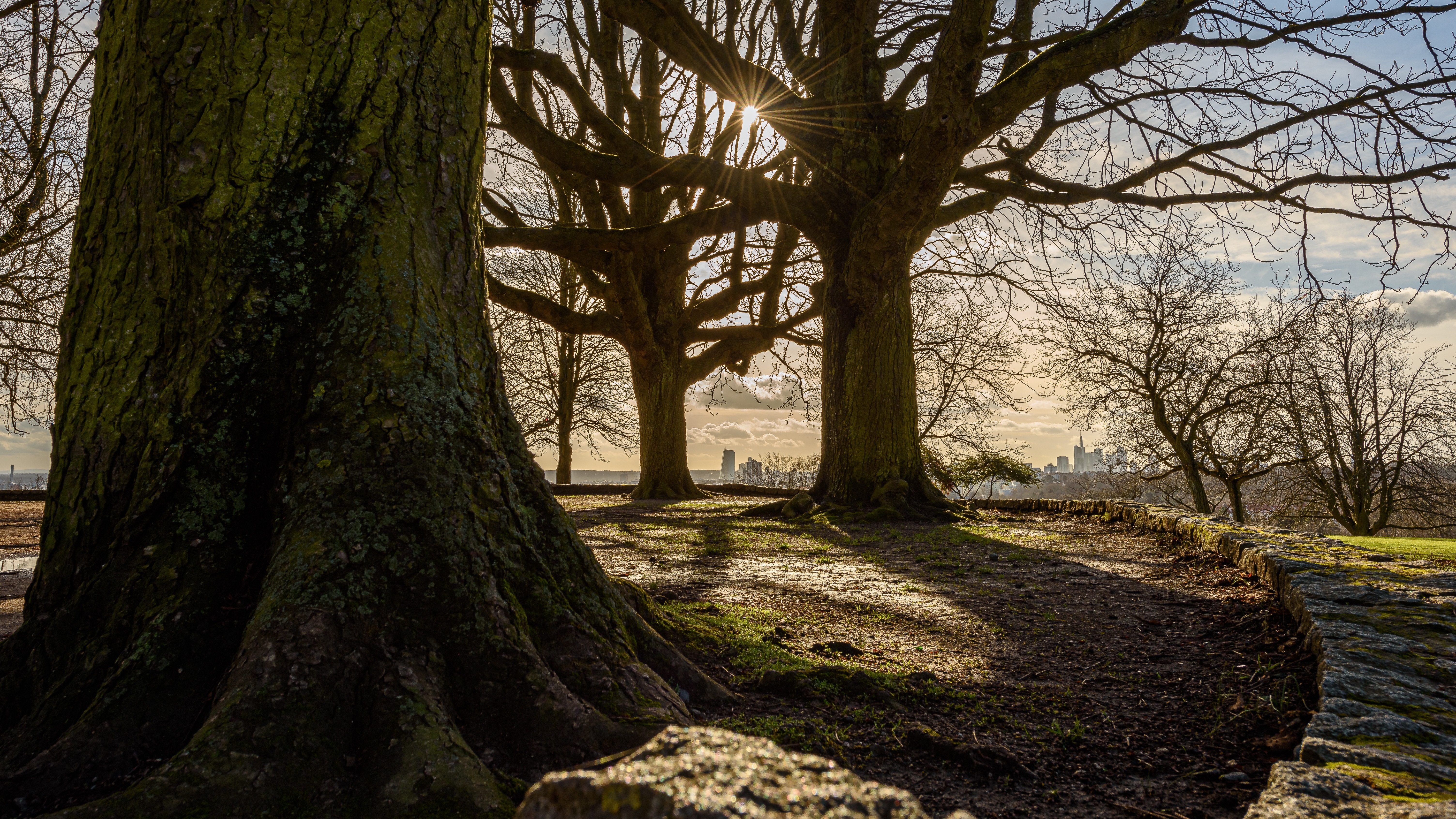Der Frankfurter Hausberg ist 185 Meter hoch und lädt zu ausgedehnten Spaziergängen ein., Credit: © AdobeStock/silvox