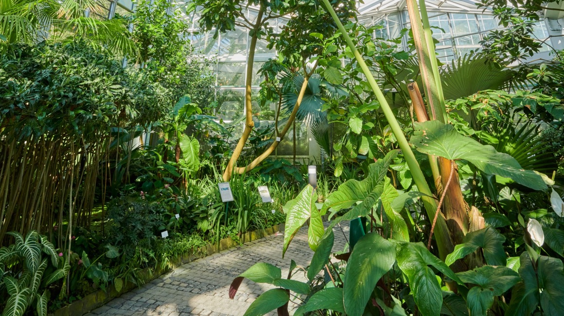 Das Tropicarium umfasst 14 Glashäuser und ist an einigen Stellen bis zu 15 Metern hoch.; Foto: Tom Wolf