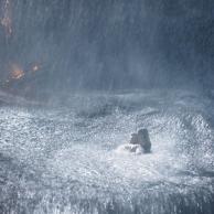 Foto: The Walt Disney Company