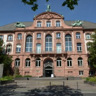 Foto: Senckenberg Foto: Senckenberg