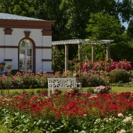 Foto: Palmengarten der Stadt Frankfurt, Tom Wolf