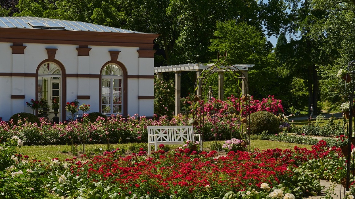 Foto: Palmengarten der Stadt Frankfurt, Tom Wolf