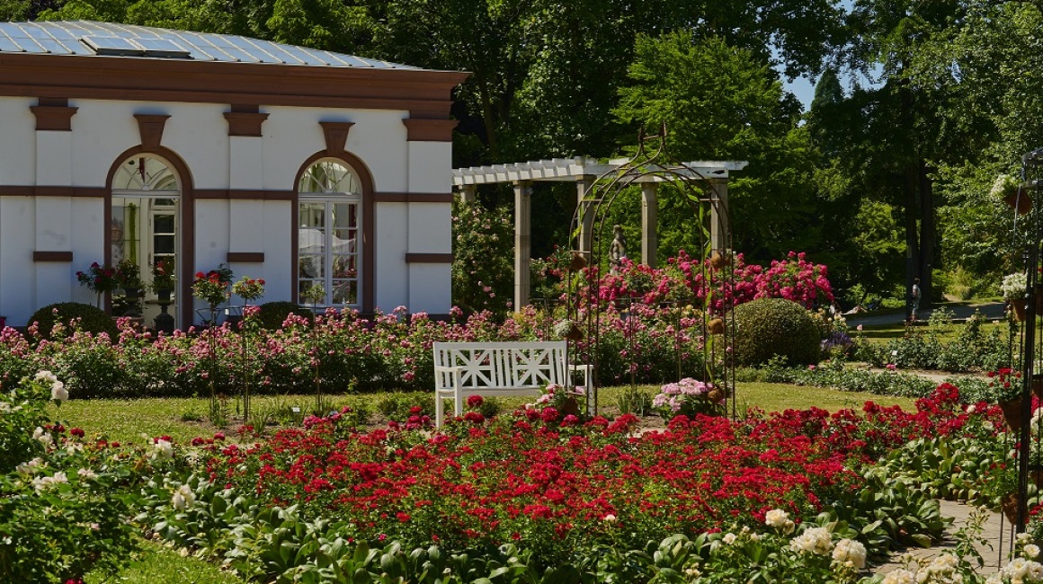 Foto: Palmengarten der Stadt Frankfurt, Tom Wolf