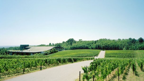 Küchengeflüster