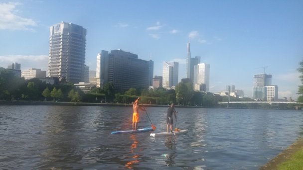 Sport