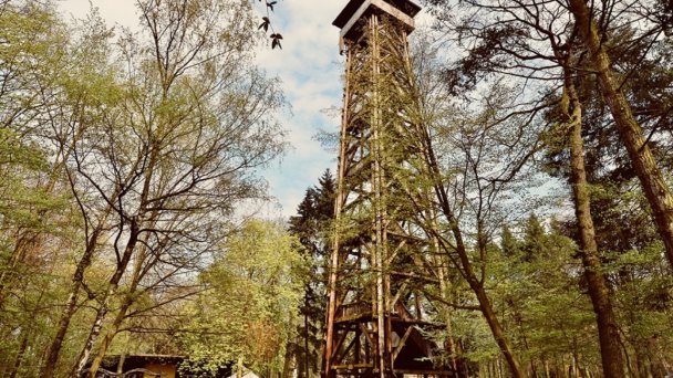 Stadtleben