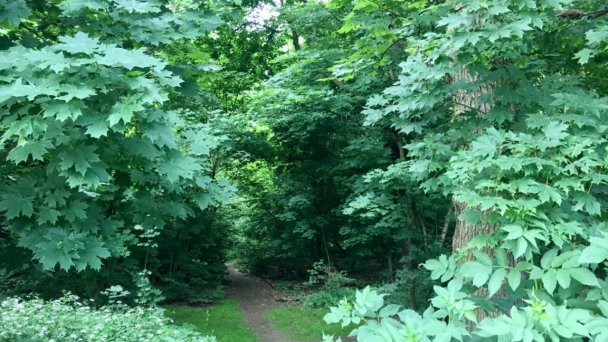 Stadtleben