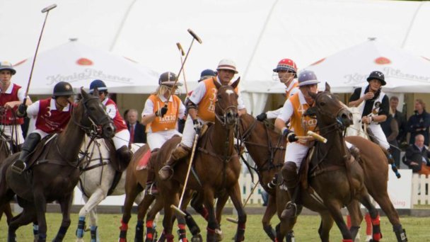 Sport