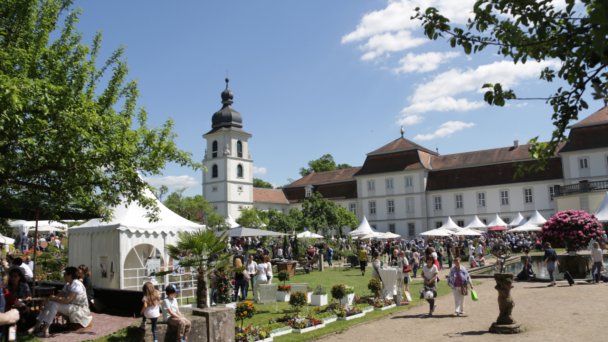 Kultur