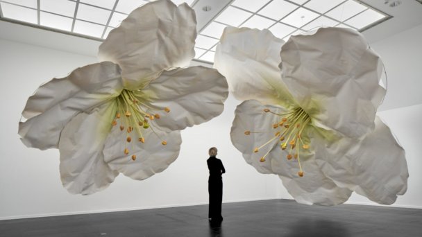 Kultur