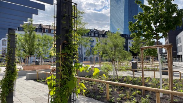 Urbanes Frankfurt