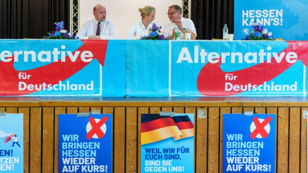 Meinung