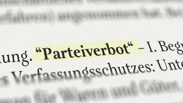Meinung