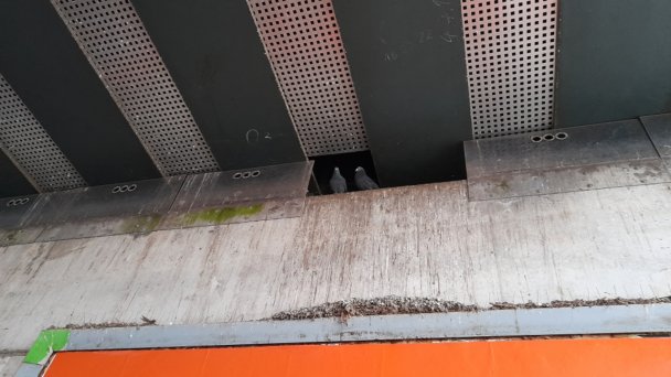 Urbanes Frankfurt