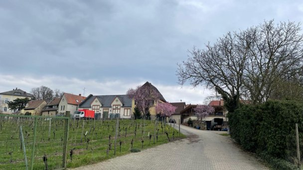 Pächterwechsel im Weinberg